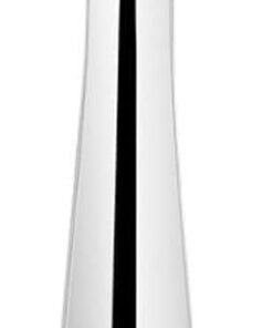 Outil de nettoyage des pores, spatule faciale argentée, éliminateur | d'impuretés avec panneau, appareil Cutis avec détails, 5,83 x 1,06 pouces, accessoire beauté, gommage pour la maison