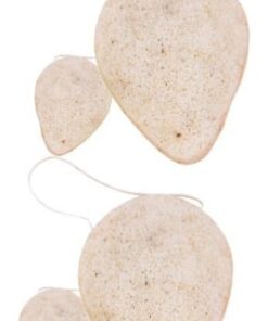 Housoutil 8 Pièces Éponge éponges nettoyantes visage outil de nettoyage de maquillage accessoires de voyage éponge de bain choux démaquillants nettoyer les houppettes