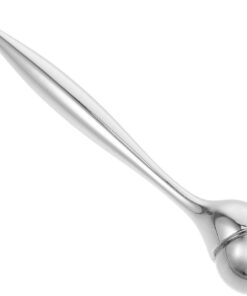 Gatuida Applicateur de Crème Yeux en Acier Inoxydable, Masseur Oculaire Portable Facile à Nettoyer, Accessoire pour Salon et Voyage
