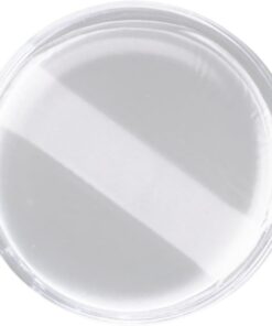 Éponge de maquillage professionnelle en silicone transparent - Outil d'application cosmétique pour femme - Répartition uniforme du produit - Cosmétique en silicone