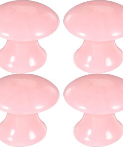 Healeved 4pièces Outil De Modelage Visage Masseur Facial Résine Planche De Massage Pour Soin Du Visage Outil Gua Sha Pour Relaxation Portable Pour Maison Et Voyage