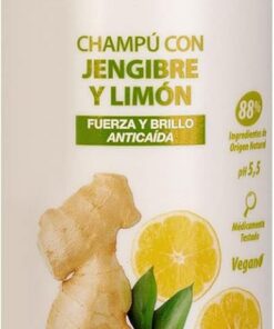 Blumin Urban Gingembre/Citron Shampooing