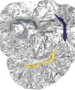 Bonnet de Soin Capillaire en Papier Aluminium 30cm 3 Pcs | Design Élastique, Usage Salon et Salle de Bain, pour Coloration et Soin Profond Couleur Aléatoire